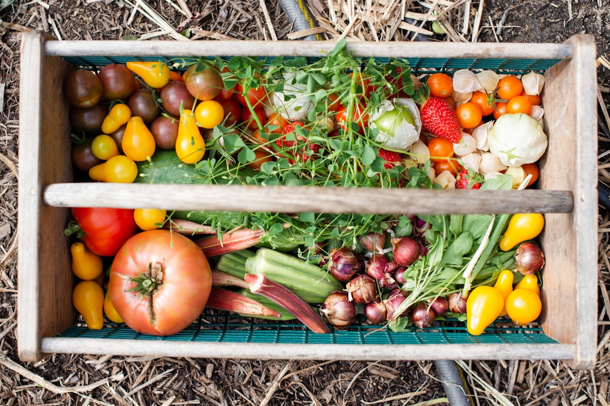 Préparation d'aliments nutritionnels sains